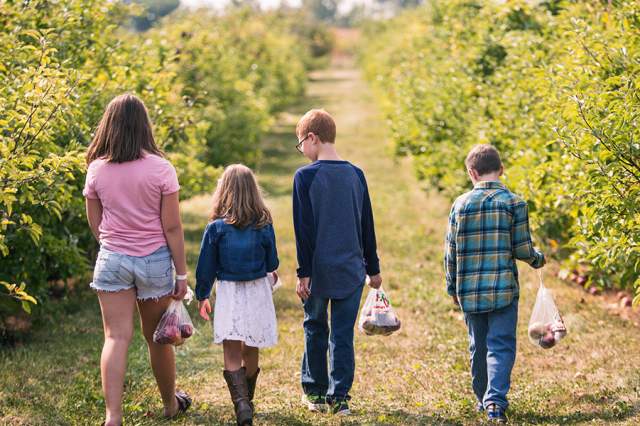 Stuckey Farms