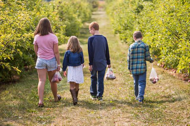 Stuckey Farms