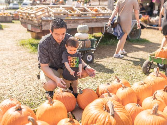 RussellFarmsPumpkinPatch 143 Russell Farms Pumpkin Patch