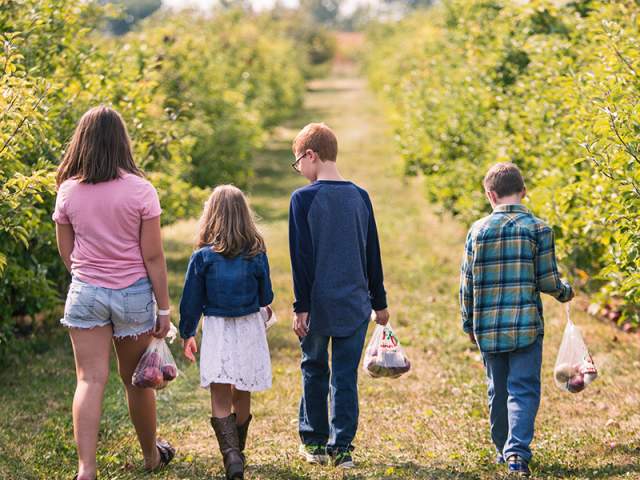 Stuckey Farms