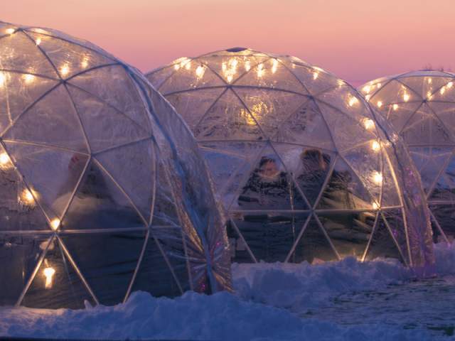 Urban Vines Igloos