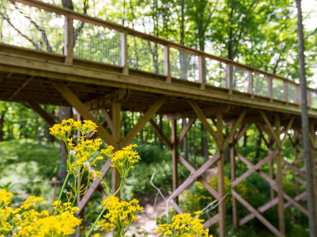 Top Events and Things to Do in Hamilton County, Indiana: April