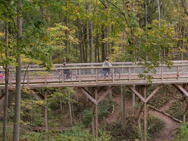 A Bridge In Flat Fork Creek Park