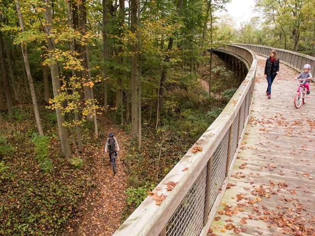 Five Places to Enjoy Fall Foliage in Hamilton County