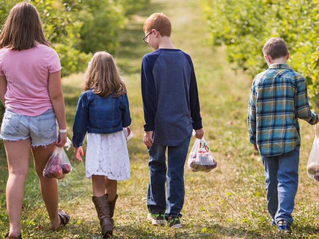 Family Fall Itinerary