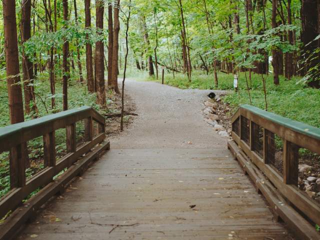 Explore These Hamilton County Nature Preserves