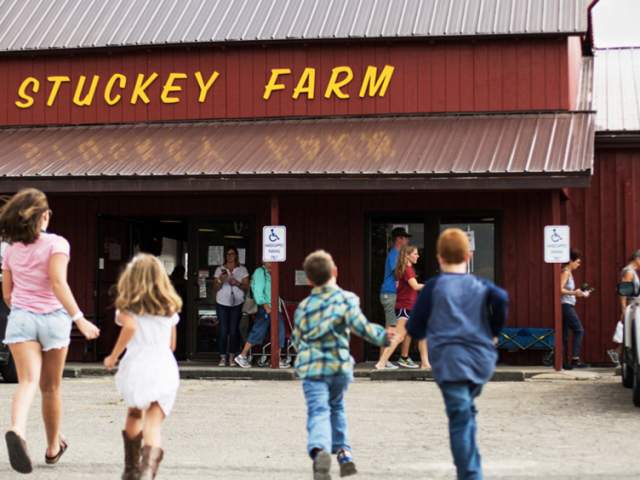 An Orchard Outing at Stuckey Farm in Sheridan