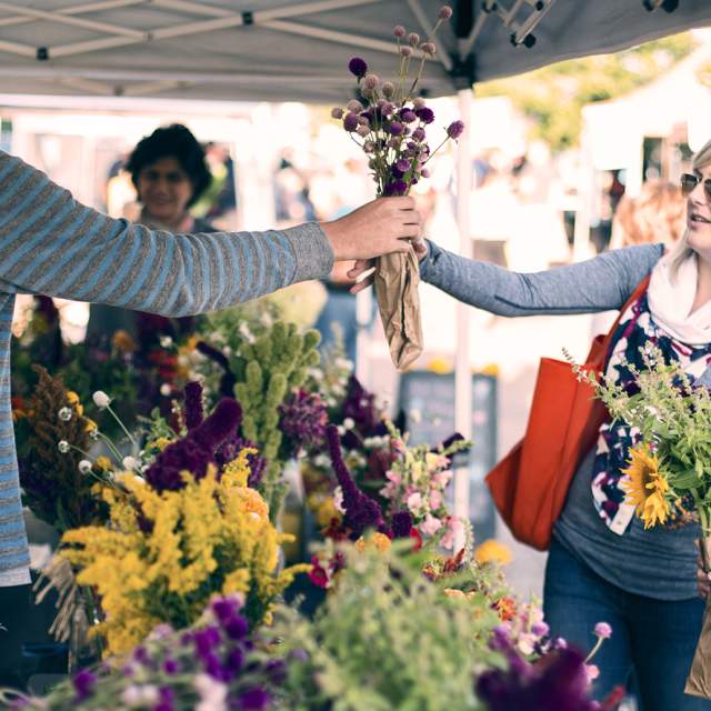 Farmer's Markets