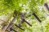 Koteewi Aerial Adventure Treetop Trails