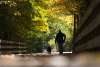 Monon Trail