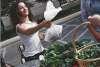 Hamilton County Farmers Markets