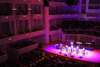 The Palladium