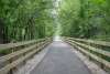 MIDLAND TRACE TRAIL