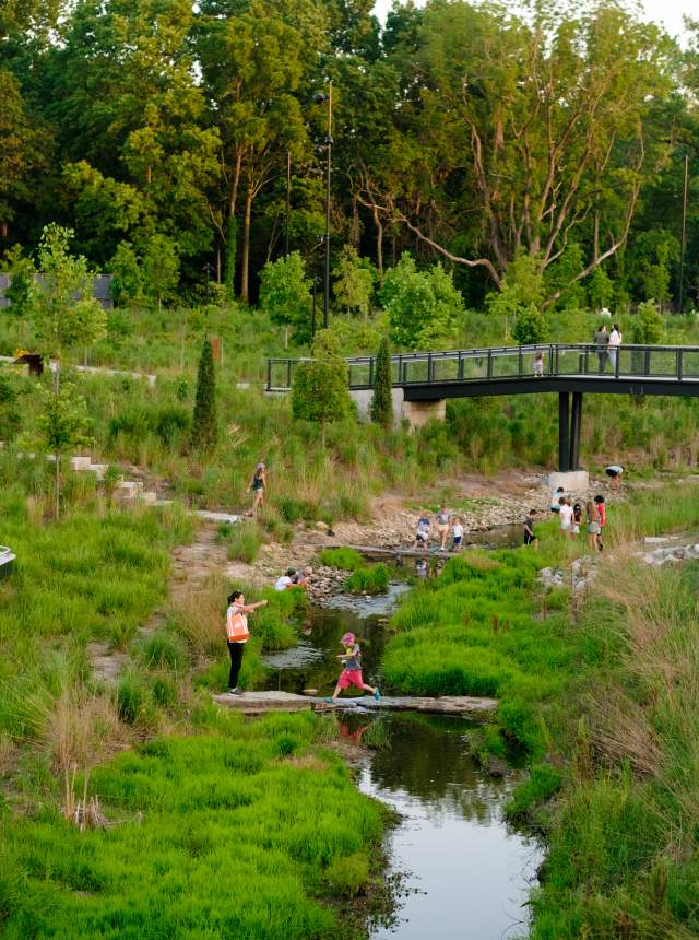 People explore a green park landscape, with adults and children crossing a shallow creek on stepping stones while others walk across a pedestrian bridge above.