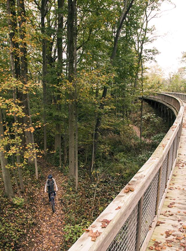 Flat Fork Creek Park