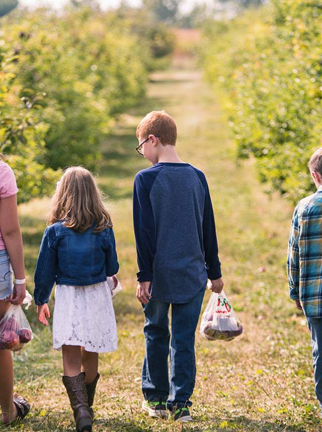 Stuckey Farms
