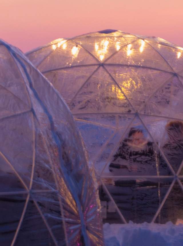 Urban Vines Igloo