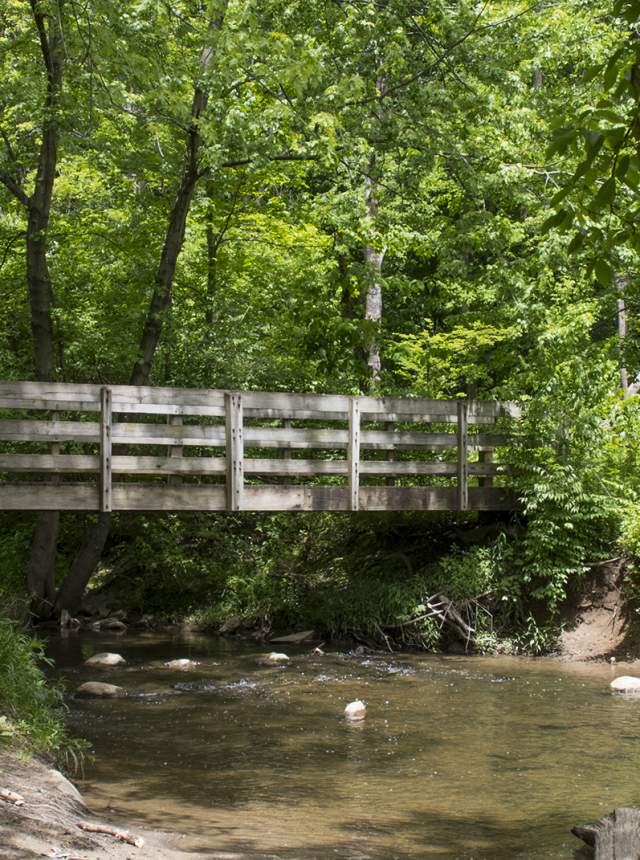 Cool Creek Park