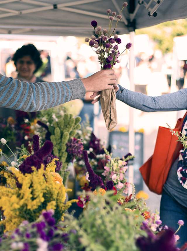 Farmer's Markets