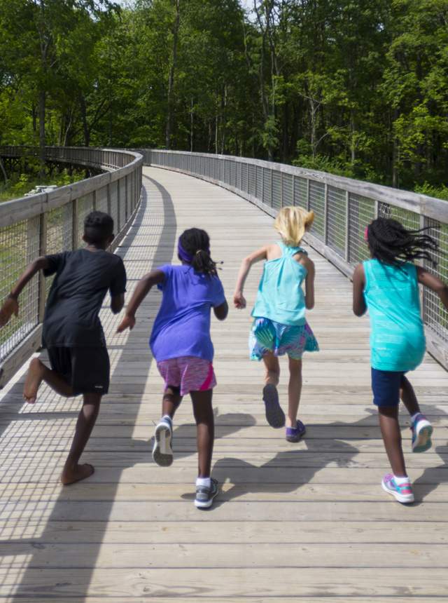 Flat Fork Creek Park