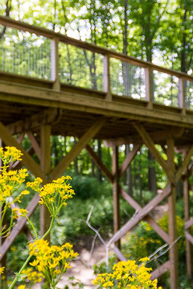 Top Events and Things to Do in Hamilton County, Indiana: April