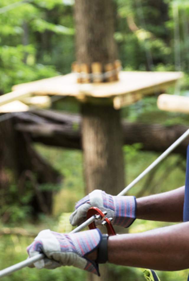 Things to Do for Father's Day in Hamilton County, Indiana