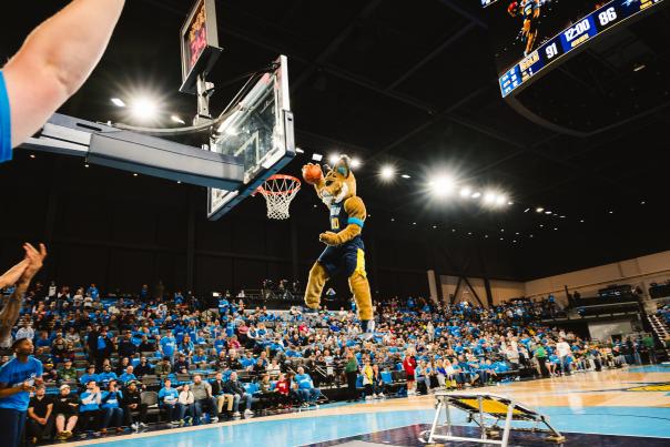 A basketball team mascot in a full animal costume performs a trampoline-assisted slam dunk during a game, soaring toward the hoop as a large crowd in blue shirts cheers from the stands inside an arena.