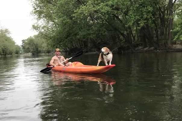 A person kayak down a river with a dog standing on the front of the kayak