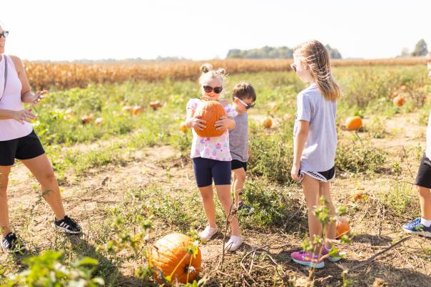 Children exploring a rural field and picking pumpkins at Russell Farms on a sunny day.