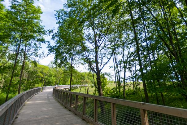 Flat Fork Creek Park