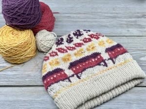 Color Me Happy beanie kit