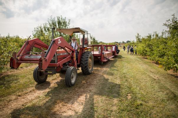 Tractor pull at Stuckey Farm Orchard.