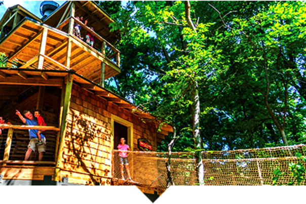 People standing on a rope bridge next to a rustic wooden treehouse and looking through a window, surrounded by trees.