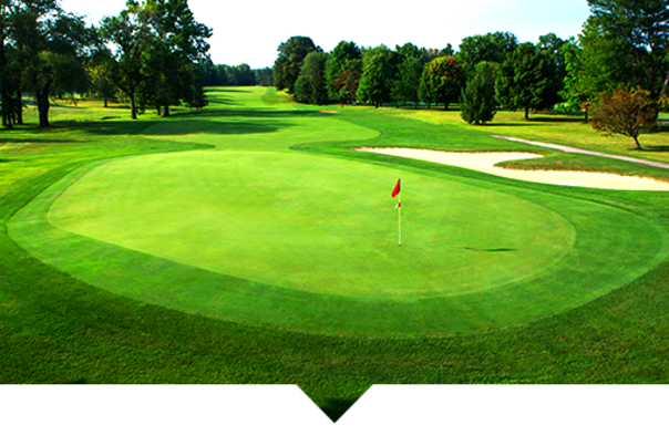 Sunny view of a green golf course with a sand bunker, trees in the background, and a blue sky overhead. A flagstick in the middle of the scene marks the hole.