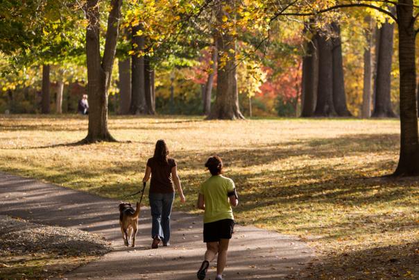 A jogger and person walking a dog in Forest Park
