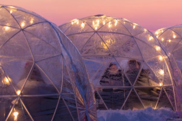 Urban Vines Igloo