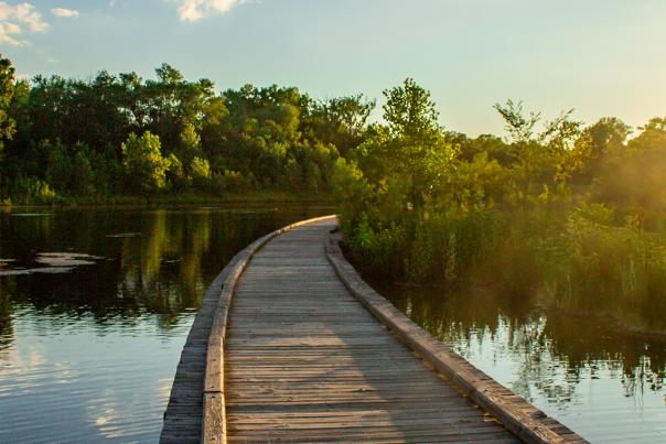 Bridge over water leading to a tree-filled park while the sun sets