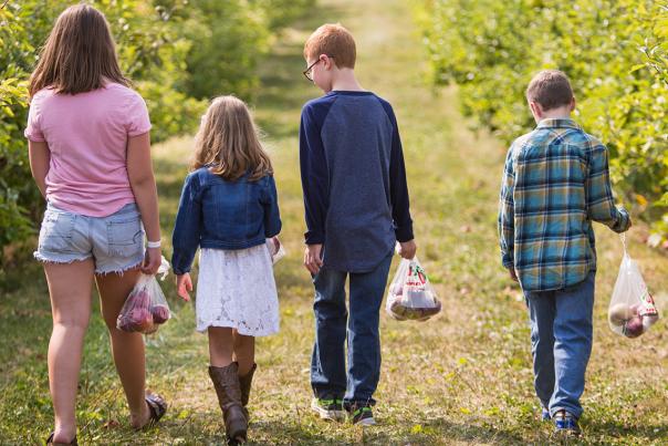 Several people walking along a grassy orchard path, viewed from behind, carrying small bags.