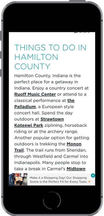 DTN - Media Kit - iPhone Mock