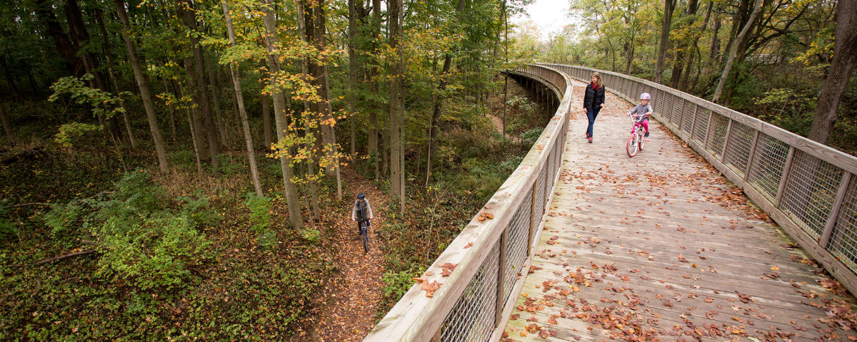 Hamilton Fall Color Best Places to Enjoy Fall Foliage in Hamilton County, IN
