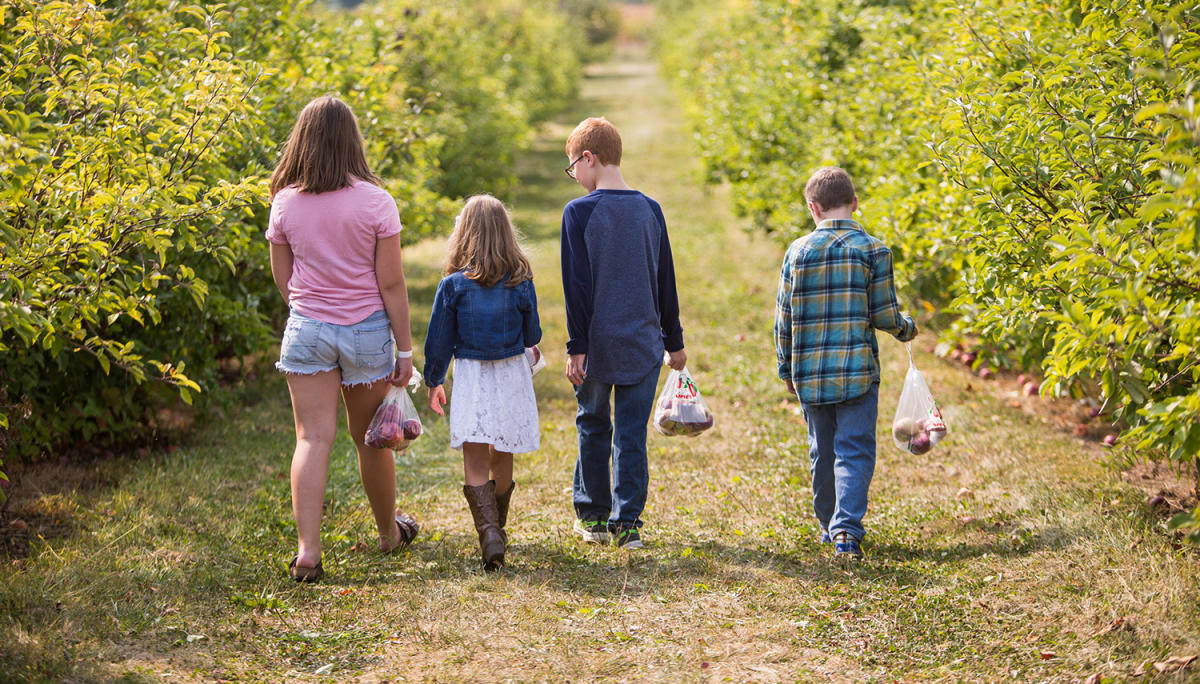 Festivals, Events & Attractions - Fall in Hamilton County, IN