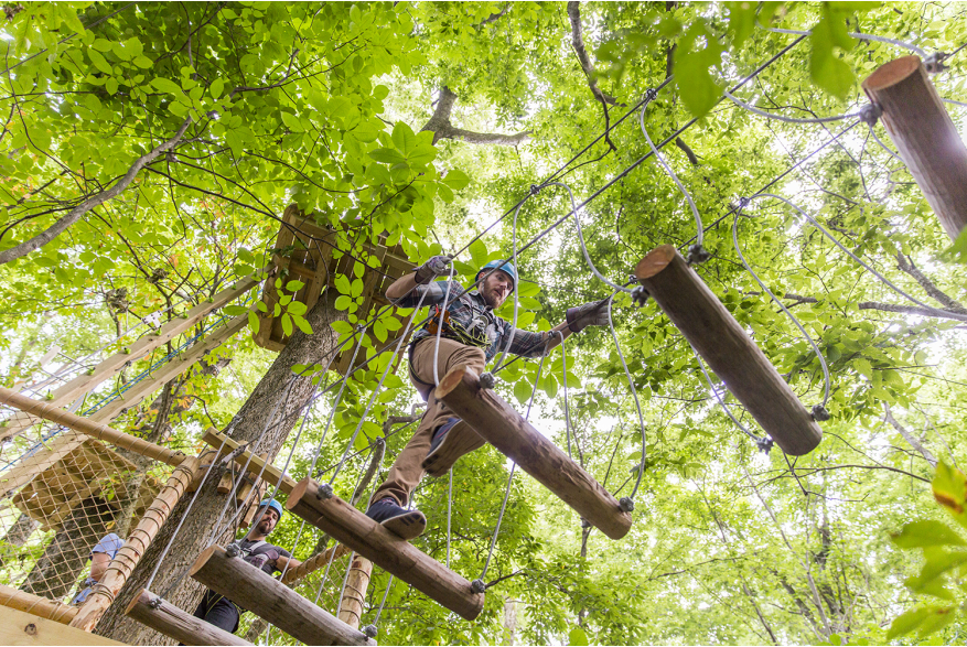 Koteewi Aerial Adventure Treetop Trails