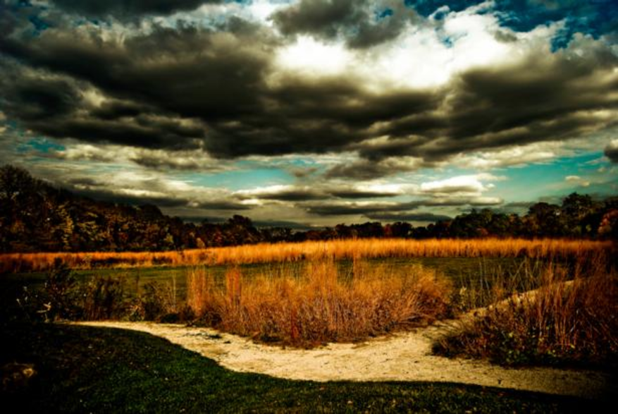 River Road Park