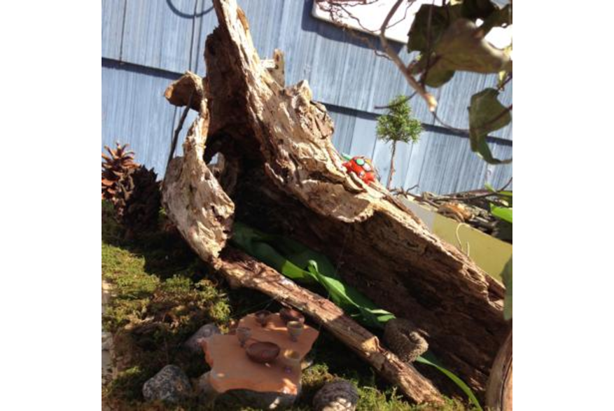 Fairyville Trail