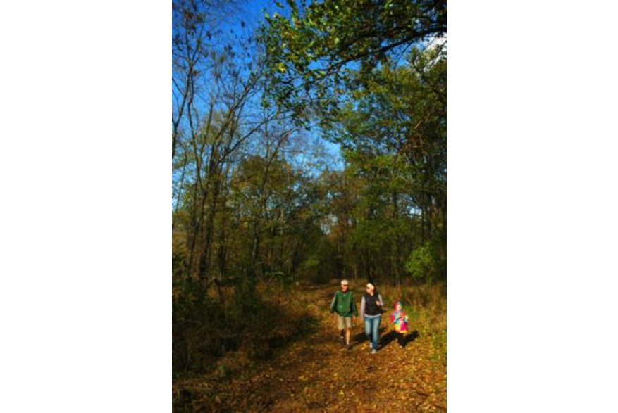 Strawtown Koteewi Park