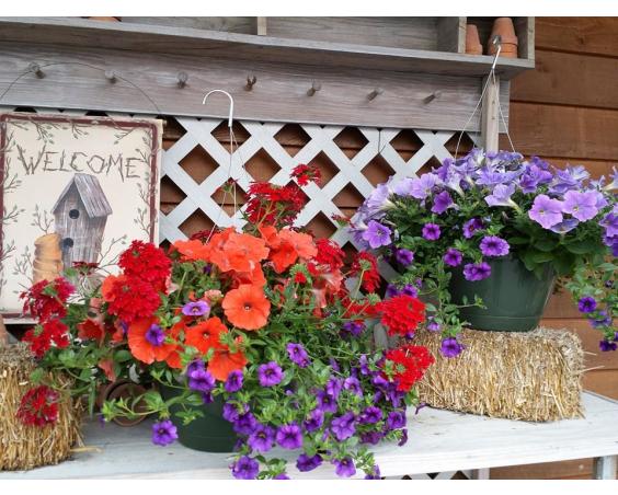 Flowers from Davis Floral.
