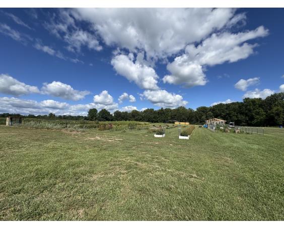Albright Acres Flower Farm_Field