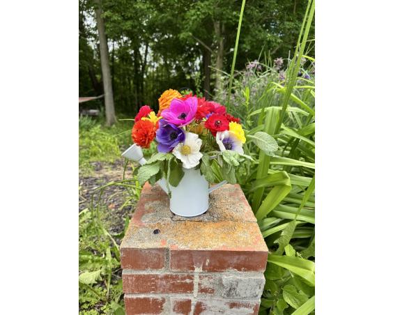 Albright Acres Flower Farm_Flowers_2