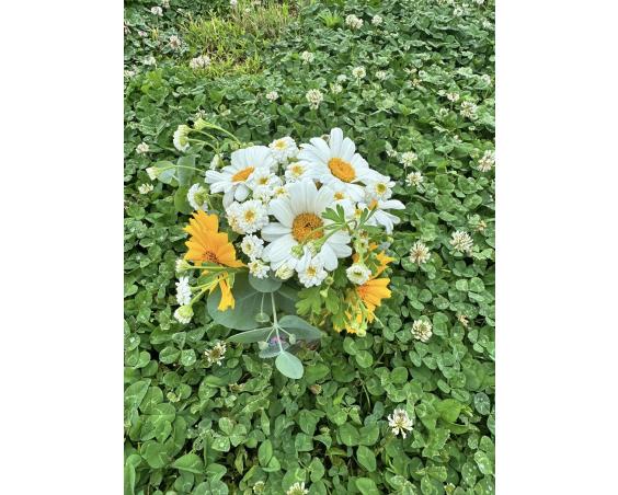 Albright Acres Flower Farm_Flowers