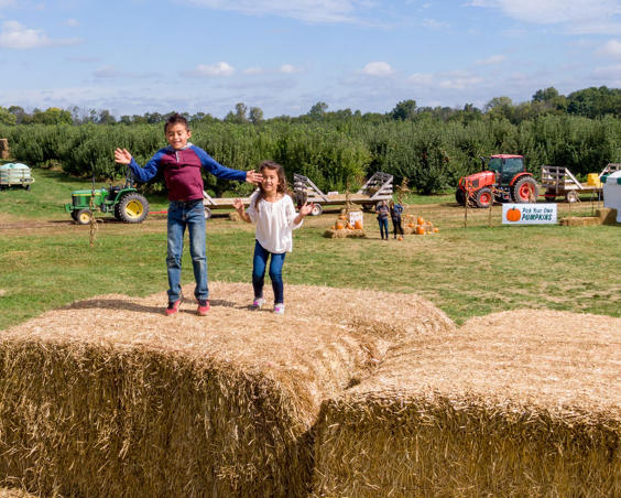 Beasley's Orchard | Hay Stack